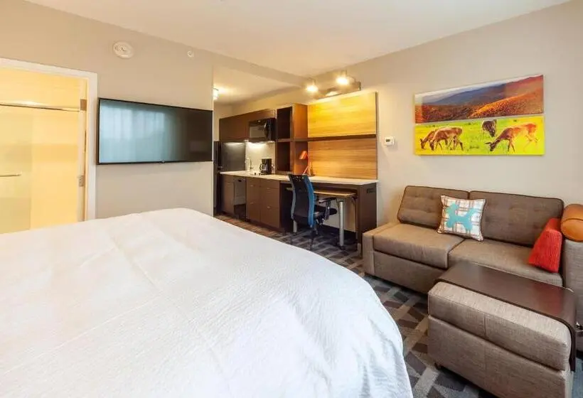 キングサイドベッドのスタンダードワンルーム, Towneplace Suites By Marriott Front Royal