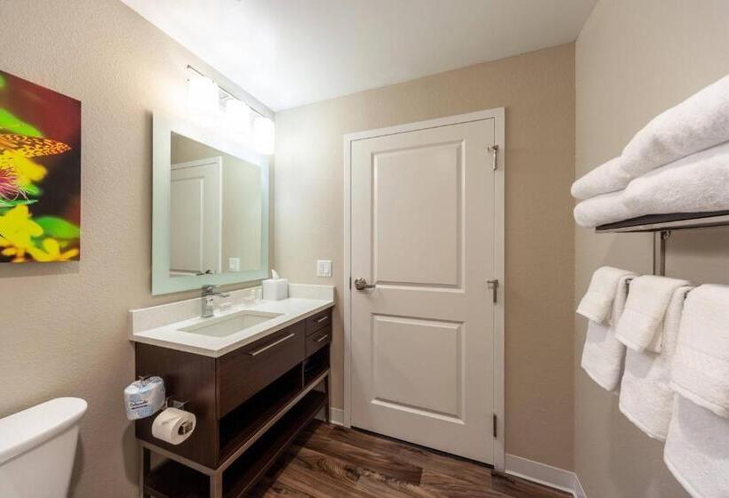 Studio Standard, Towneplace Suites By Marriott Front Royal