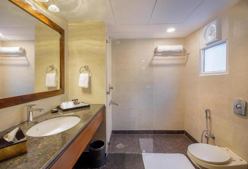 اتاق استاندارد, Larisa Shimla