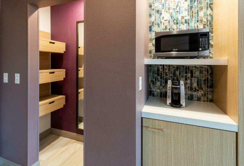 Номер Стандарт Адаптированный для Инвалидов, Hilton Garden Inn St. Cloud