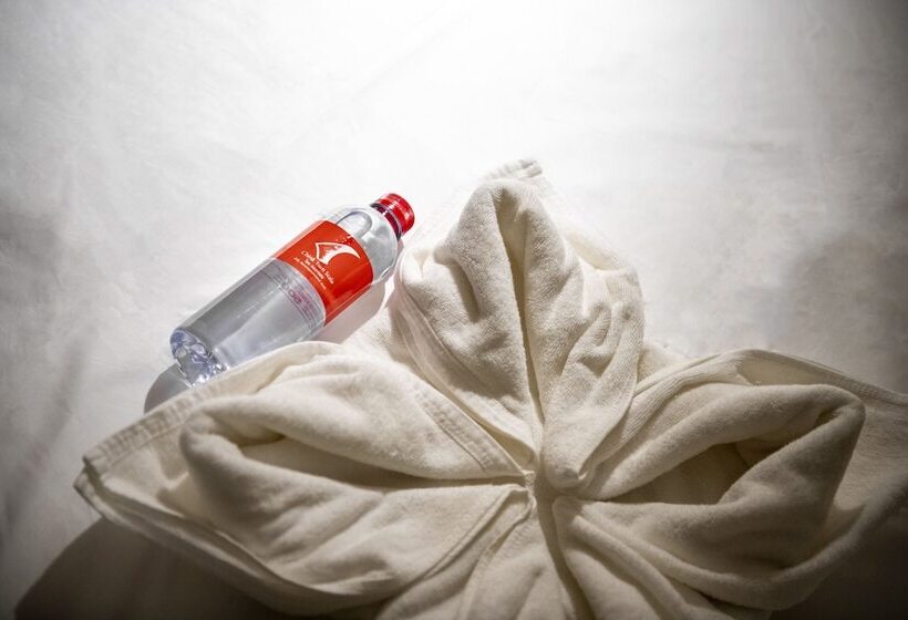 اتاق استاندارد, Scala Hostel