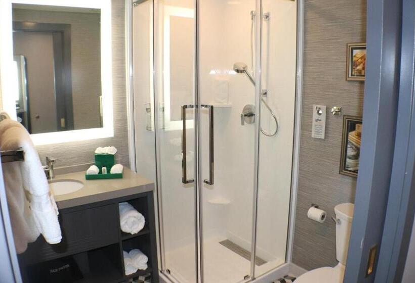 غرفة ديلوكس, Indigo   St. Louis   Downtown, An Ihg