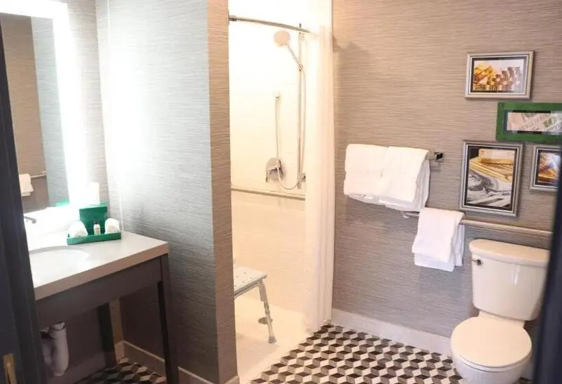 身障者適用スタンダードルーム, Indigo   St. Louis   Downtown, An Ihg