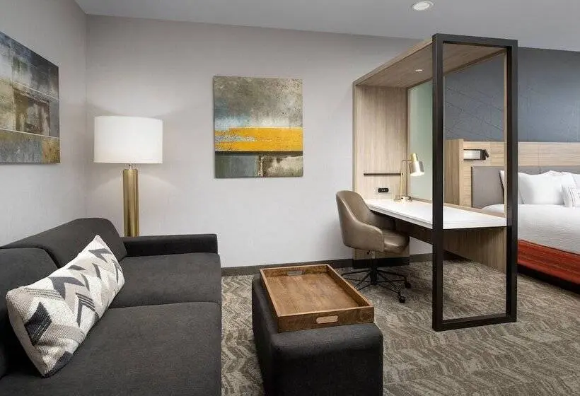 スイート, Springhill Suites By Marriott Loveland Fort Collins/windsor