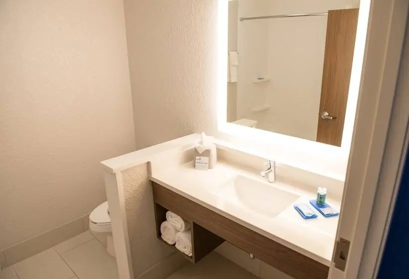 身障者適用スイートルーム, Holiday Inn Express & Suites   Orland Park Mokena, An Ihg