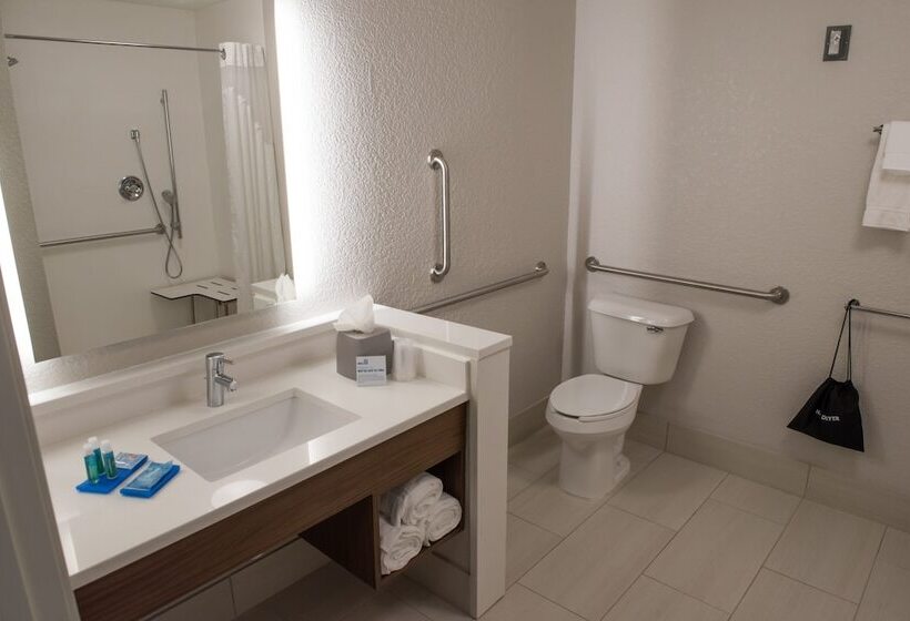 适合残疾人士使用的套间, Holiday Inn Express & Suites   Orland Park Mokena, An Ihg