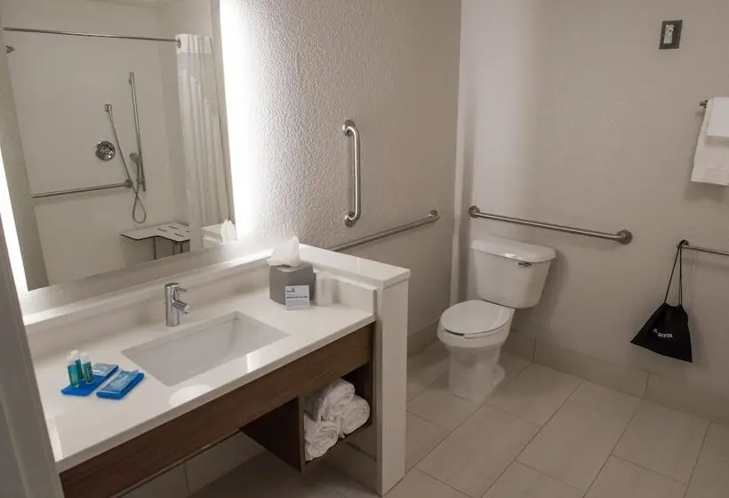 身障者適用スイートルーム, Holiday Inn Express & Suites   Orland Park Mokena, An Ihg