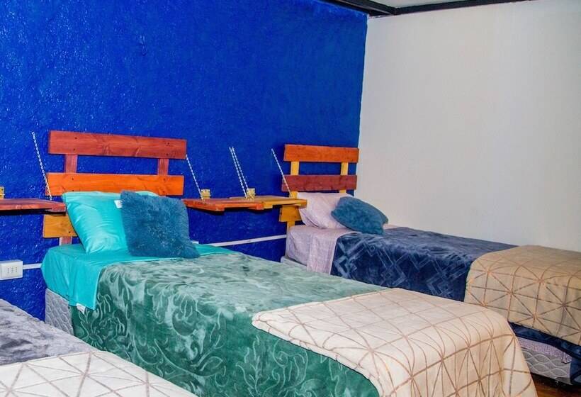 컴포트 트리플 룸, Hostel Willka Kuti Backpackers