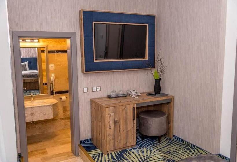 غرفة قياسية فردية, Art