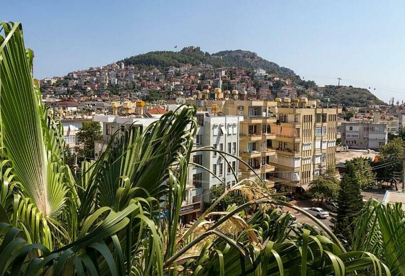 آپارتمان 1 خوابه با بالکن, Comfort Suites