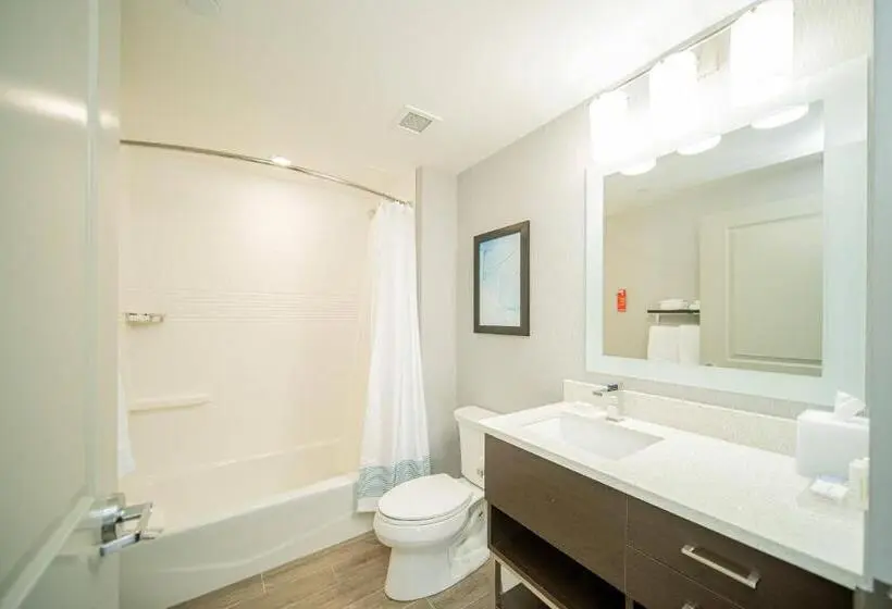 Suite Queen Bed, Towneplace Suites By Marriott Brantford And Conference Centre