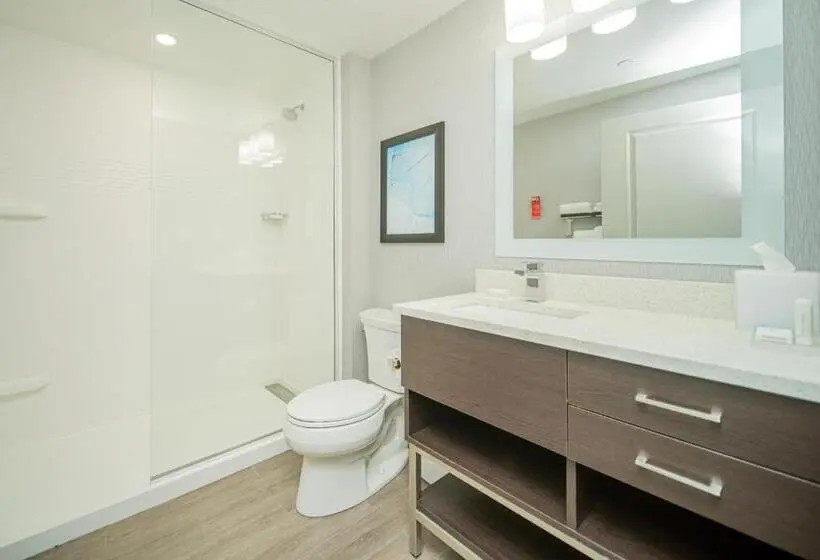 Standard-studio King-vuode, Towneplace Suites By Marriott Brantford And Conference Centre