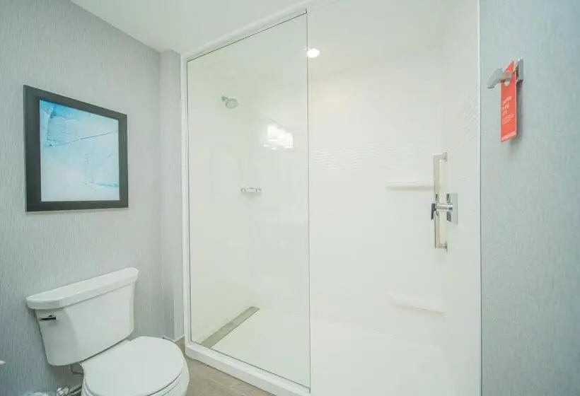 Standard-studio King-vuode, Towneplace Suites By Marriott Brantford And Conference Centre