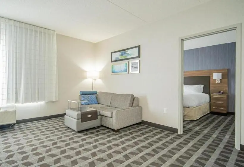 Sviitti King-vuode, Towneplace Suites By Marriott Brantford And Conference Centre