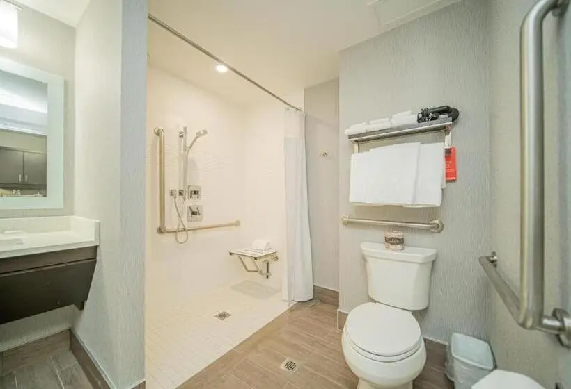 Sviitti King-vuode, Towneplace Suites By Marriott Brantford And Conference Centre