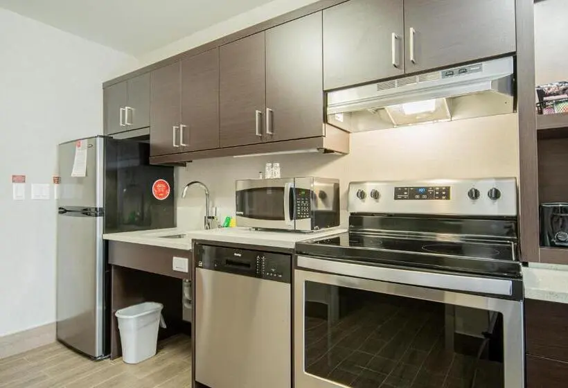 Sviitti King-vuode, Towneplace Suites By Marriott Brantford And Conference Centre
