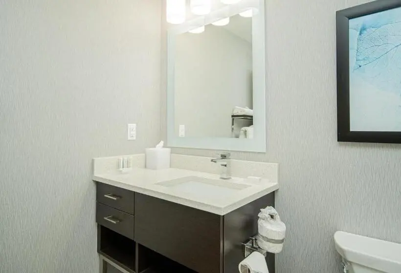 Classic-studio, Towneplace Suites By Marriott Brantford And Conference Centre