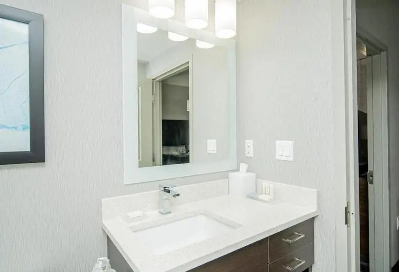 Classic-studio, Towneplace Suites By Marriott Brantford And Conference Centre