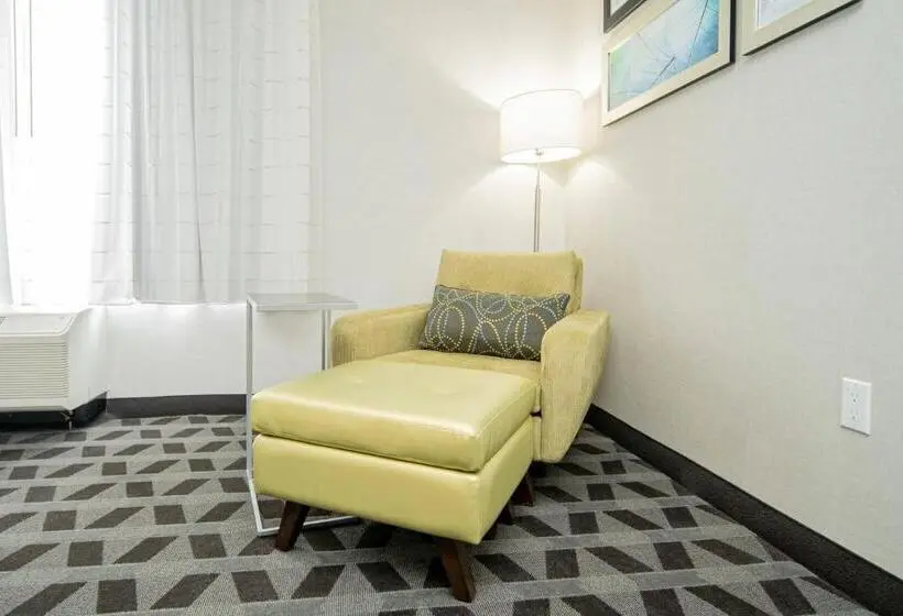 Standard-studio Queen-vuode, Towneplace Suites By Marriott Brantford And Conference Centre