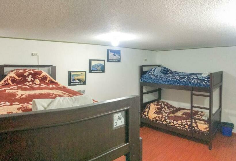 اتاق خانوادگی با سرویس بهداشتی مشترک, Hostel Tierra De Fuego