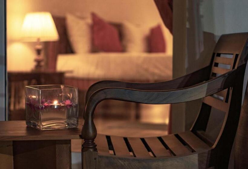 デラックスルーム, Bohemian Hotel Negombo