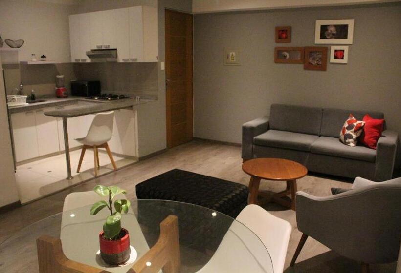 شقة ديلوكس غرفة واحدة, Basadre Apart