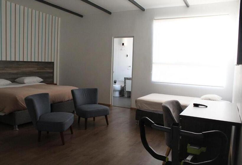 شقة ديلوكس غرفة نوم واحدة, Basadre Apart