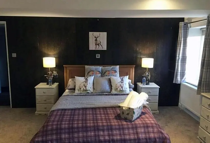 キングサイズベッドのスーペリアルーム, Lodbourne House B&b