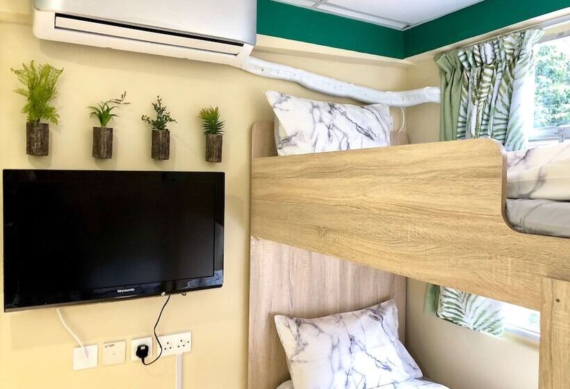 Standard Quadruple Room, Amu Dreamhouse 阿木旅舍