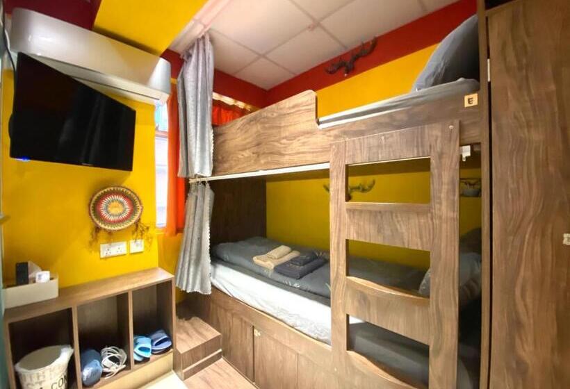 Bed in Shared Room, Amu Dreamhouse 阿木旅舍