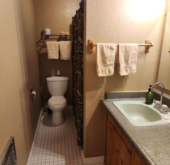 带大床的套房, Eagle Nest Fly Shack & Lodge