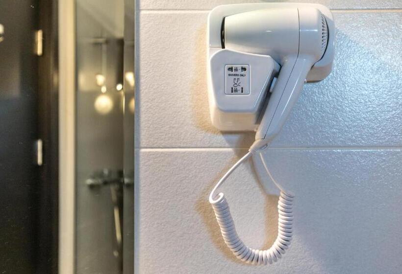 디럭스 룸, Pensiune Pavo