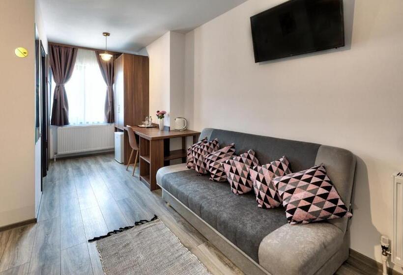 디럭스 룸, Pensiune Pavo