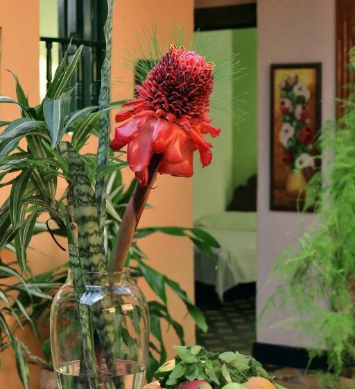 Номер Стандарт, Posada Las Bromelias