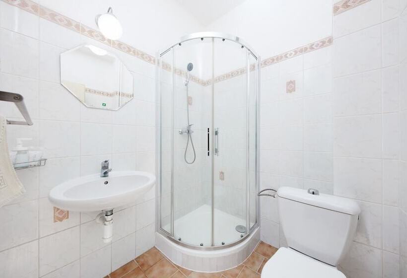 商务房间, Roosevelt