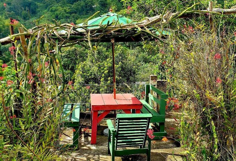 سوییت با چشم‌انداز باغ, Prince Valley Guesthouse