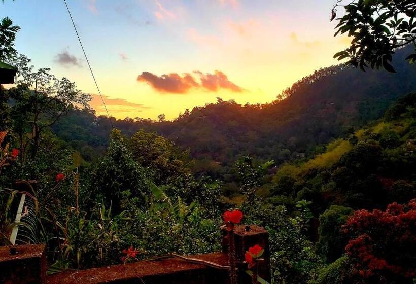 سوییت با چشمانداز باغ, Prince Valley Guesthouse