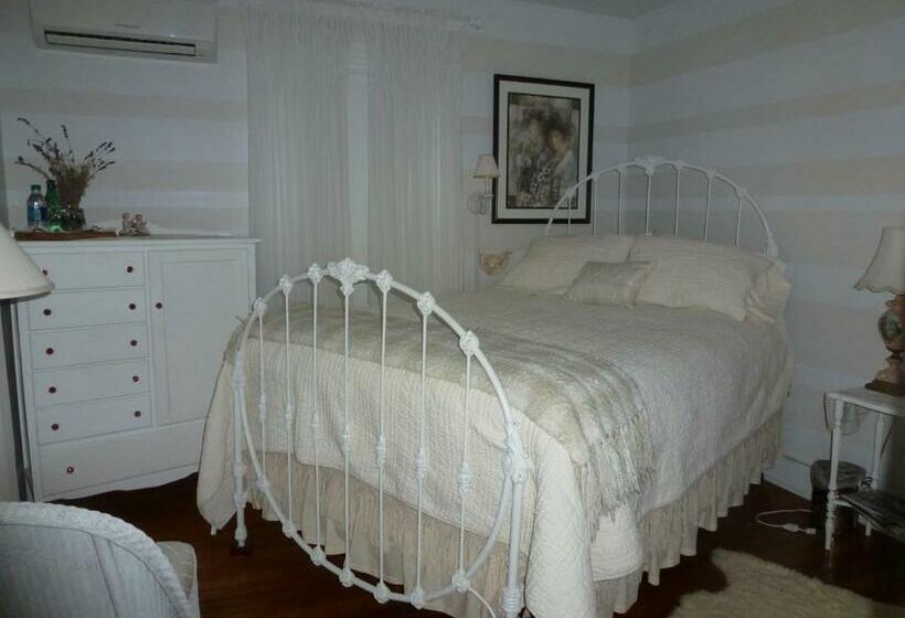 Студия Стандарт, Back Inn Time B&b