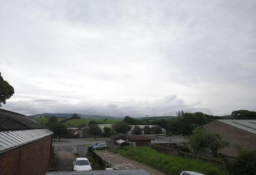 带1个卧室的公寓, The Cat Inn