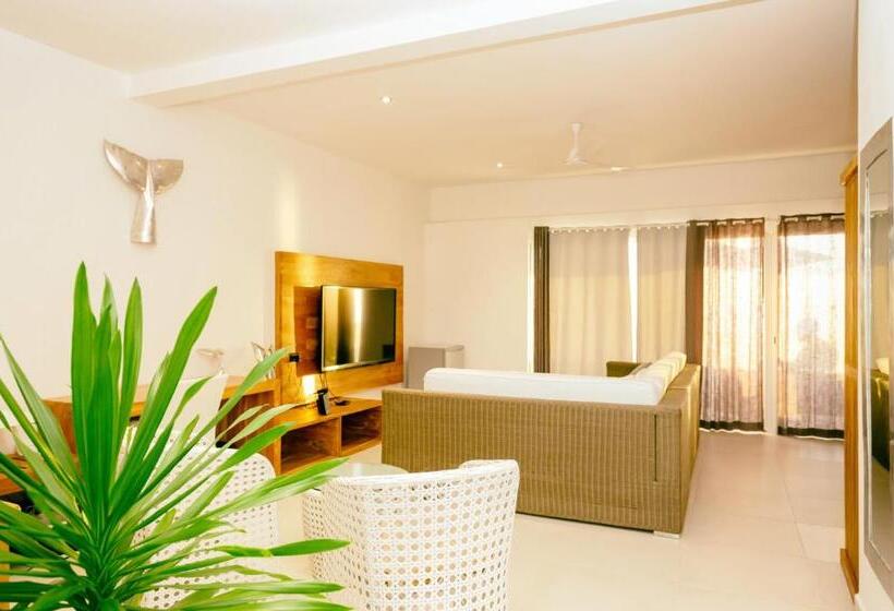 استودیوی لوکس, Etoile Blanche