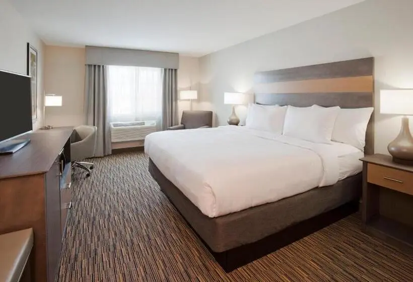 Standard Yhden Hengen Huone, Grandstay Hotel & Suites