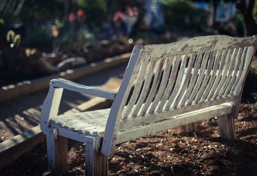 غرفة ديلوكس, Okiep Country