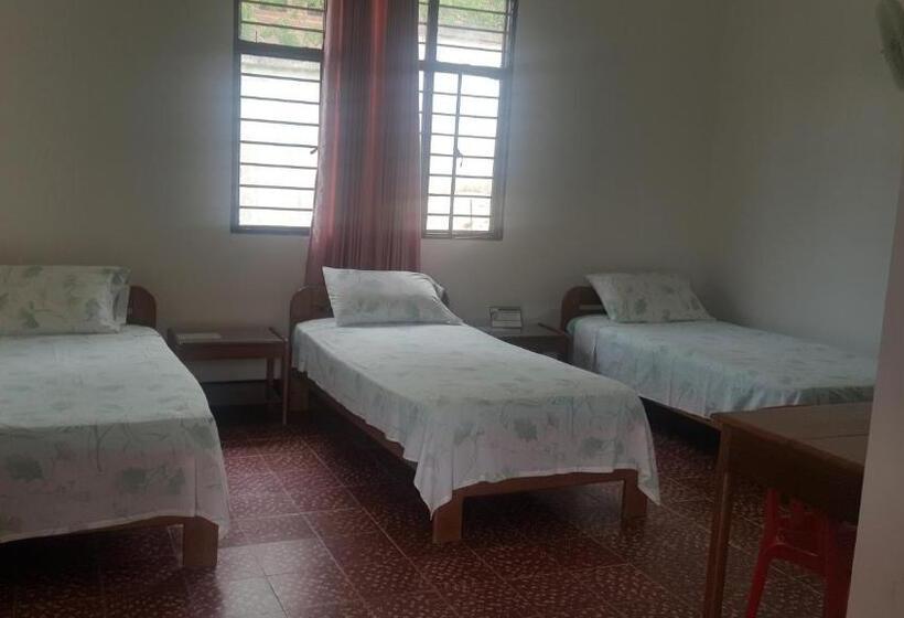 스탠다드 트리플 룸, Orinoco Real