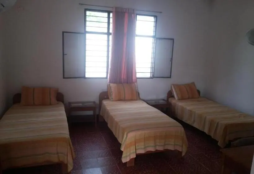 اتاق استاندارد سه نفره, Orinoco Real
