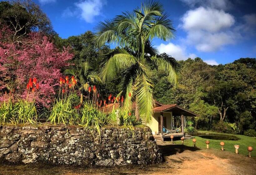 スイート（家族用）, Pousada Gonçalves