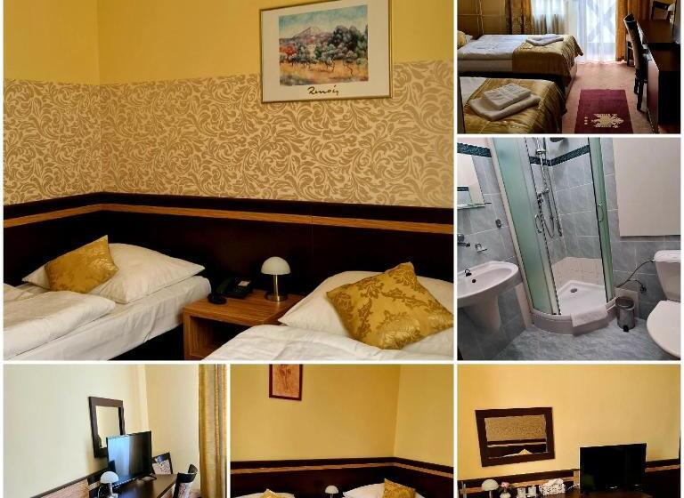 스탠다드 룸, čierny Orol