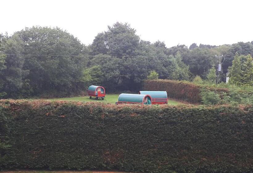 バルコニー付きデラックスルーム, Birchdale House B&b