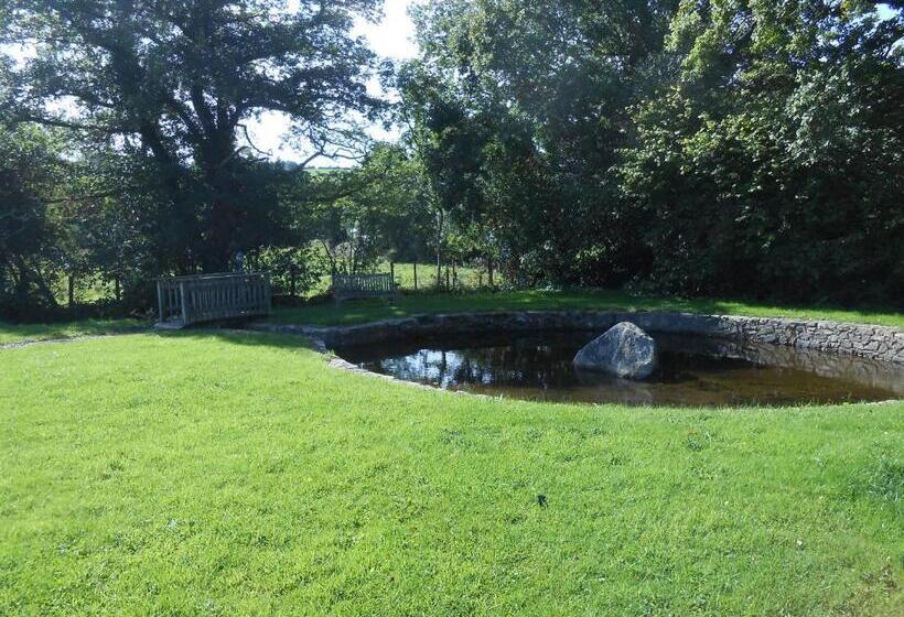 ガーデンビュースタンダードルーム, Birchdale House B&b