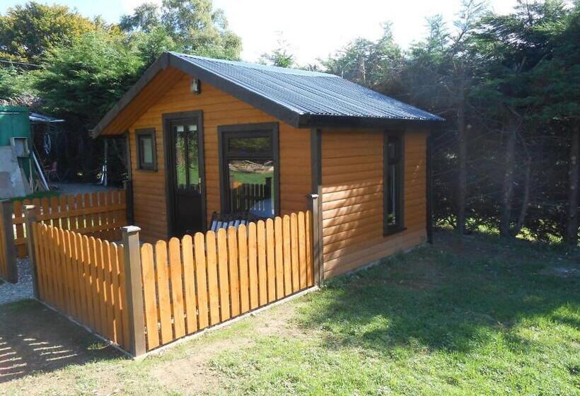 스탠다드 룸 가든 전망, Birchdale House B&b