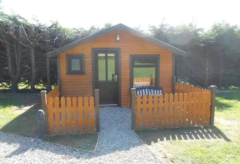 ガーデンビュースタンダードルーム, Birchdale House B&b